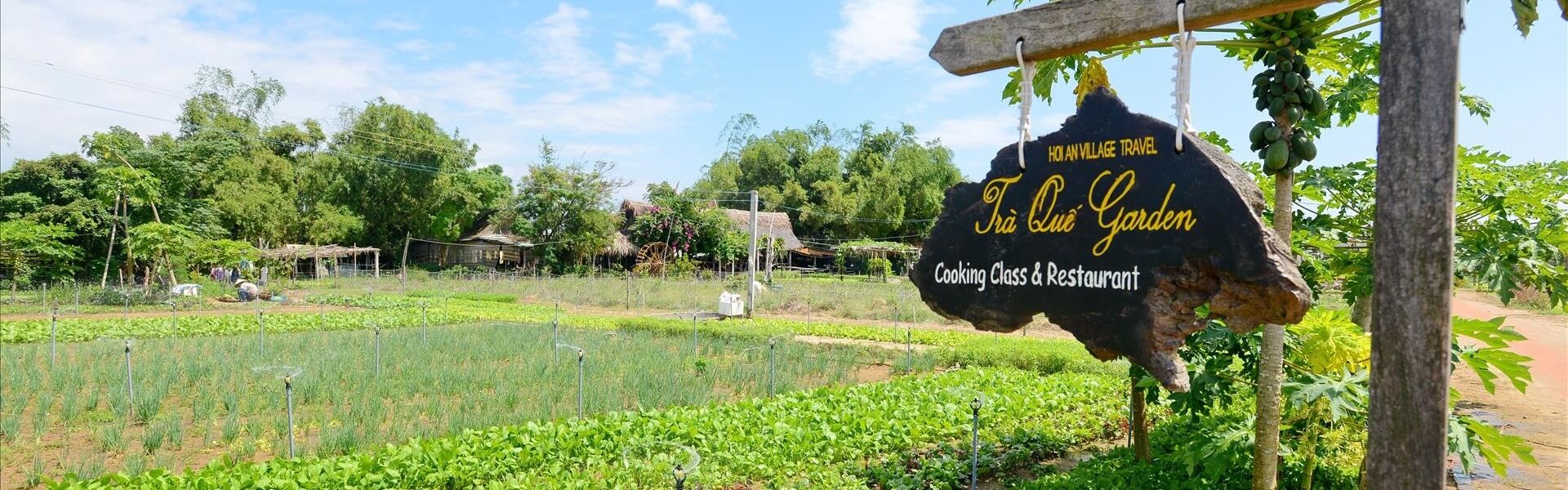 Tra Que Herb Village Green